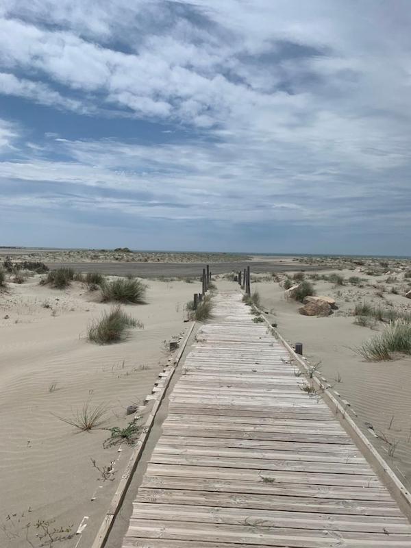 "La Pradeto" Gite Rural Camargue آرْلْ المظهر الخارجي الصورة
